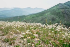 CLM_WRA-01756 CLM_WRA-01756