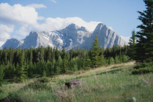 SCVP Adventure Family Photo_Radford-05025 SCVP Adventure Family Photo_Radford-05025
