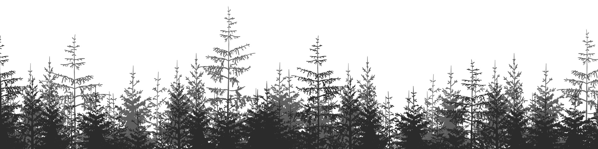 vecteezy_landscape-forest-landscape-with-black-and-white-silhouettes_14893989 vecteezy_landscape-forest-landscape-with-black-and-white-silhouettes_14893989